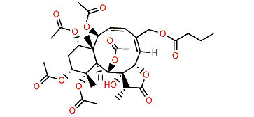 Briarein L